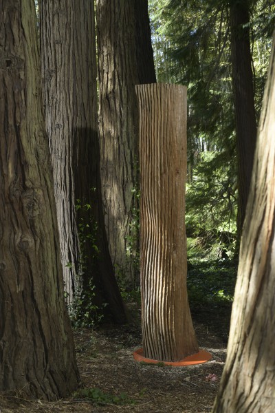 files/bambouseraie-sequoia-jl-jennepin-4.jpg